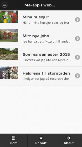 En listview med alternativ.