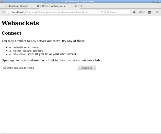 En klient som kan koppla upp sig mot en server via websocket.